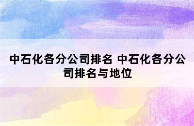 中石化各分公司排名 中石化各分公司排名与地位